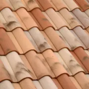 Omega 10 Vieux Toits színváltozat