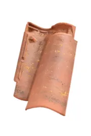 Canal S alezane színváltozat