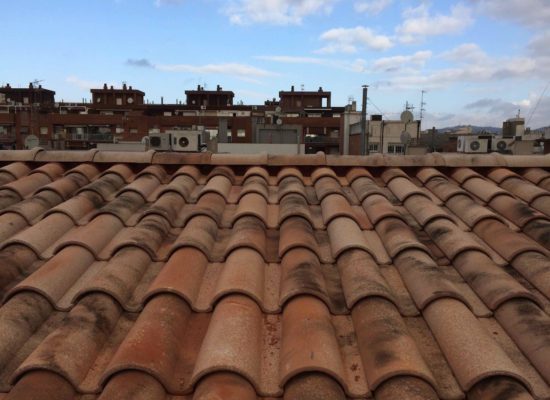 Tb-10_lamalou-roof-tile_50851938386_o