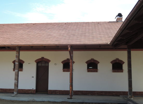 DSCN4218