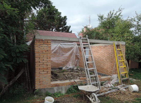 DSCN5377