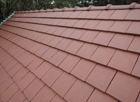 DSCN5386