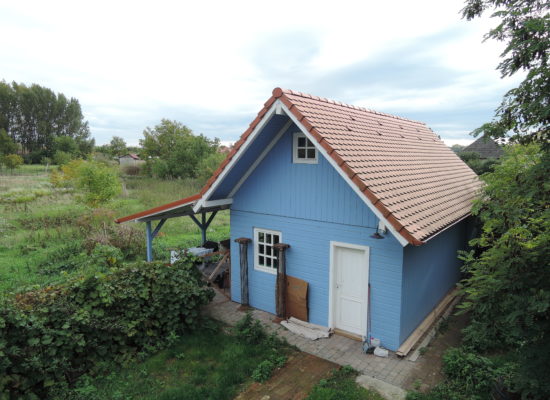 DSCN5387