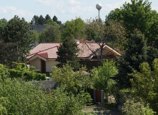 DSC00949