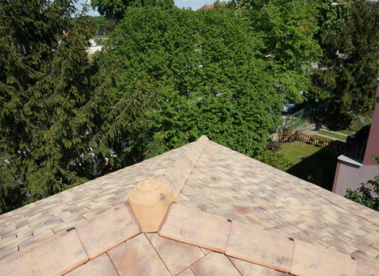 DSC00953