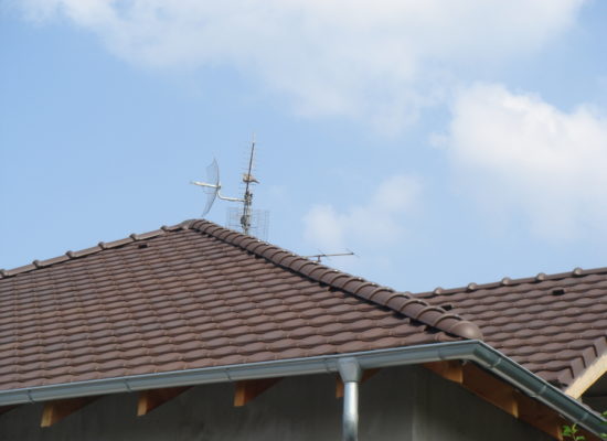 DSC05726
