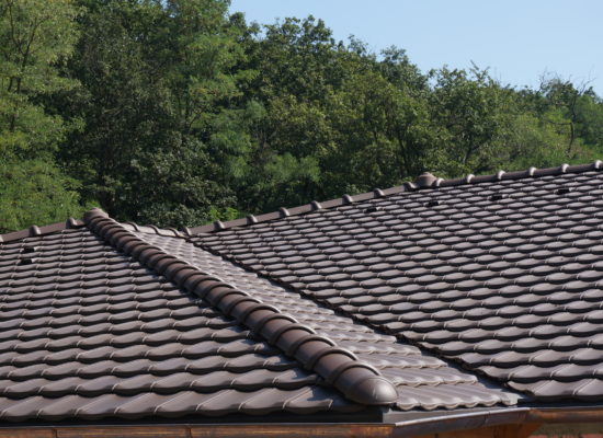 DSC08413