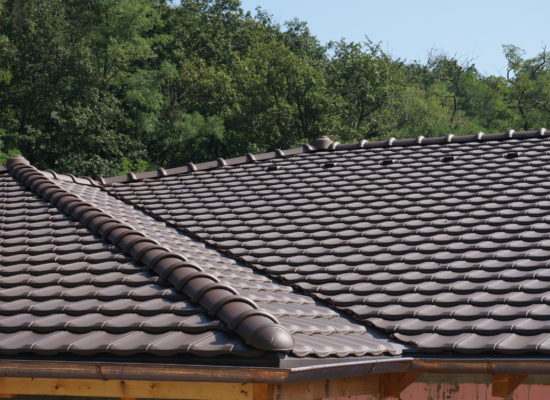 DSC08415