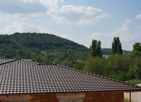 DSC08455