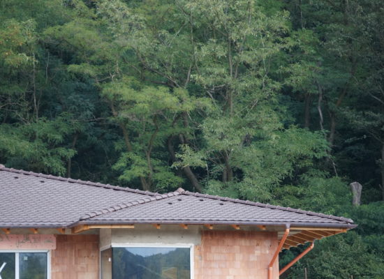 DSC08461
