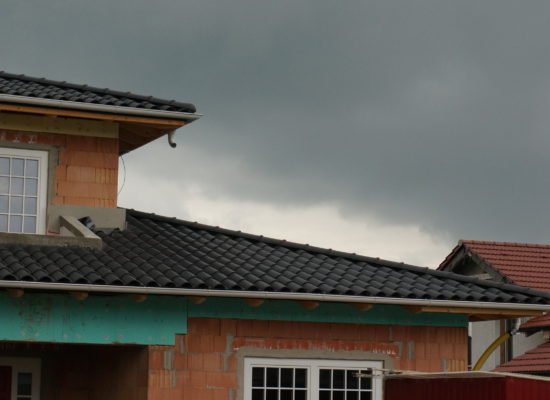 DSC06567