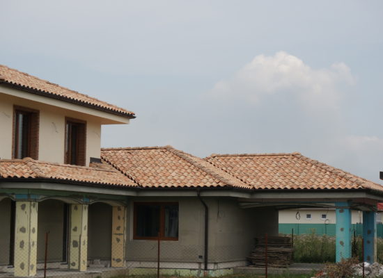DSC08286