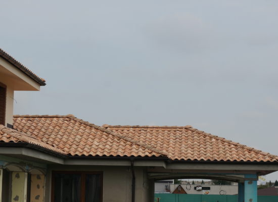DSC08289